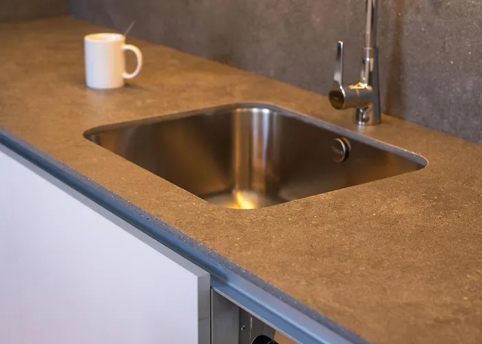 Flora - Panasco Arrecife (Lanzarote)